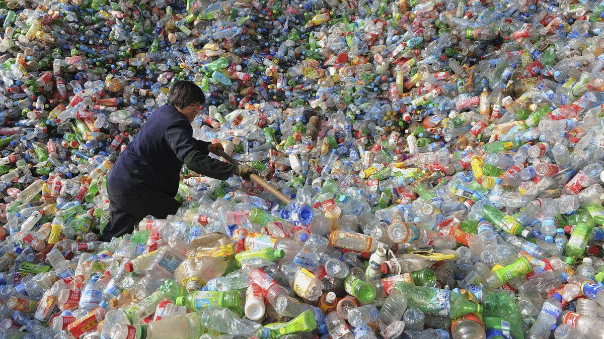 How Plastic Water Bottles End Up in Nature? Coldest