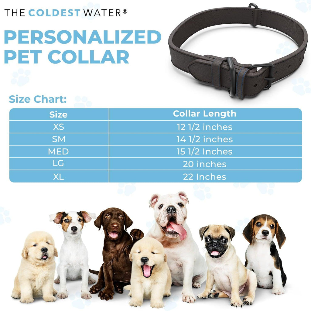Custom Pet Collars For Your Precious Dog Or Cat - Coldest