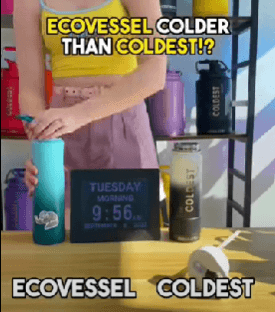 ECOVESSEL vs COLDEST: WHICH ONE TO PICK? - Coldest