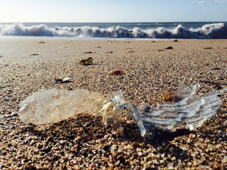 How Plastic Pollution And Contamination Disturbs All Living Things? - Coldest