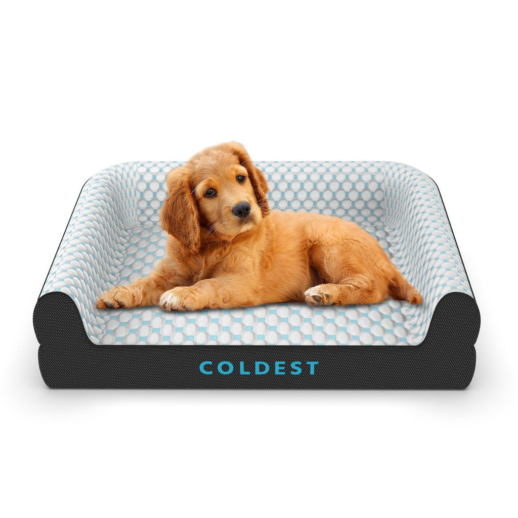 The Perfect Bed for Your Dog - Coldest