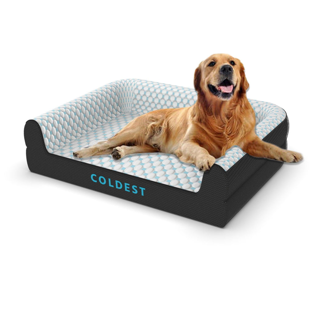What's the perfect bed for your dog? - Coldest