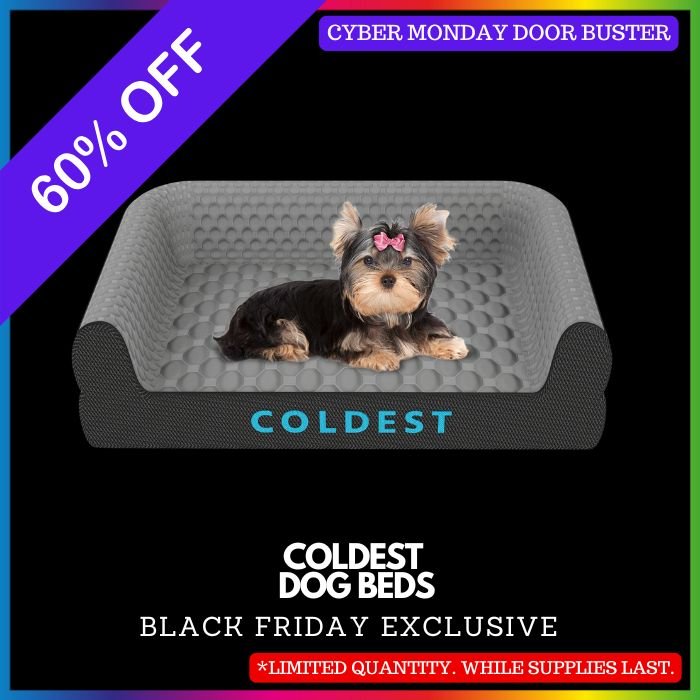 The Coldest Cozy Dog Bed - Coldest