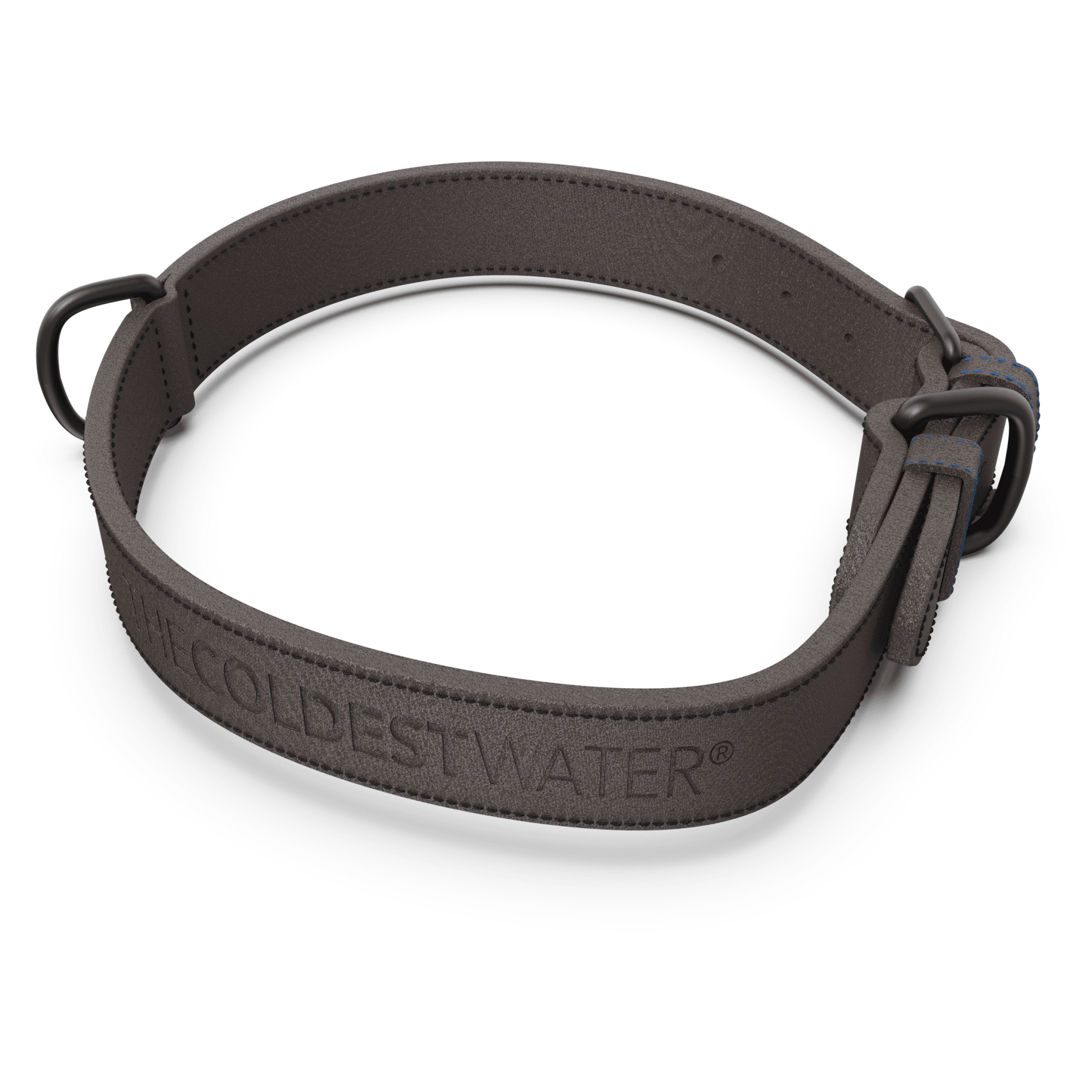 Coldest Custom Pet Collars COLDEST