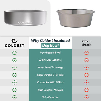 what is the best water bowl for dogs