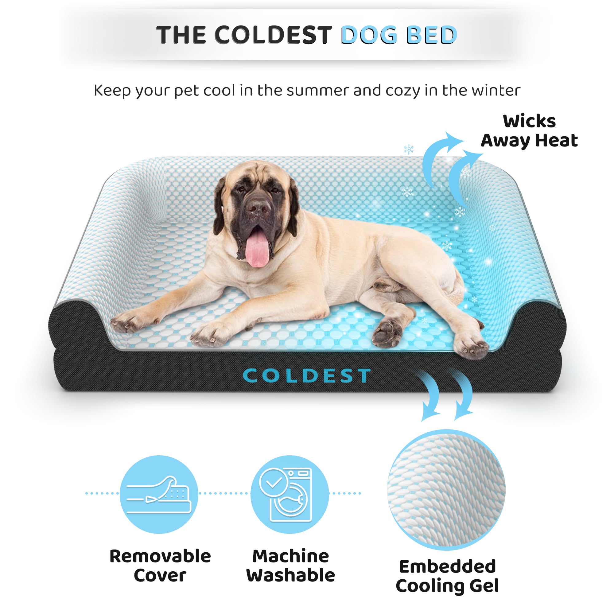 dog bed features
